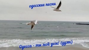 Одесса – ты мой дом! (дуэт). Песня за Одессу