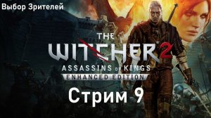 Выбор Зрителей - The Witcher 2: Assassins of Kings Enhanced Edition - Стрим 9. Лок Муинн