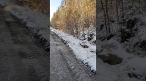 Белая сказка Зеленой дачи