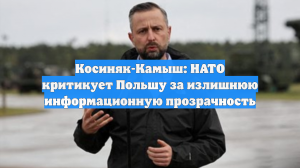 Косиняк-Камыш: НАТО критикует Польшу за излишнюю информационную прозрачность