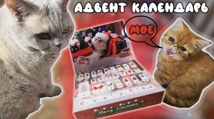 КОШАЧИЙ АДВЕНТ КАЛЕНДАРЬ К НОВОМУ ГОДУ