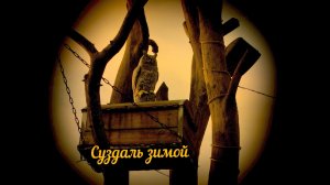 Суздаль зимой