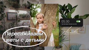 🌷Мини  огород на комоде