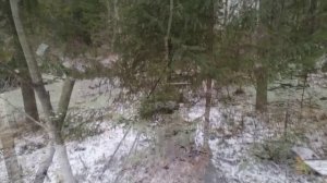 Серые Краски Осени.2