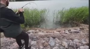 Поговаривают, что вместо щуки жарили оператора