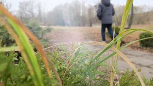Смоленск город памяти.