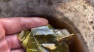 Суть Земли.Секрет плодородной земли. Часть Первая.