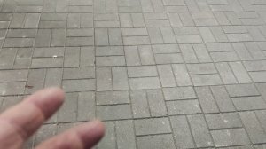 там где волшебник нет осадков как стемнеет местами дождь и звезды  🌌 в ночь на 19 ноября 🌖...