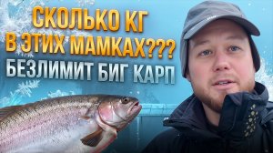 #32 УПУСТИЛ ФОРЕЛЕВОЕ ЭЛЬДОРАДО. БОЛЬШАЯ РЕЗИНА ВЫРУЧАЕТ. РЫБАЛКА В КРАСНОГОРСКЕ. БИГ КАРП