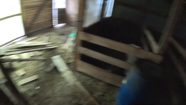 Страусы нападают ! Мама навела порядок ! Ловим рыбу ! ХУТОР В ЛЕСУ №871 смотреть онлайн