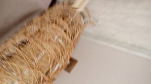 влог моего вечера финальная 3 часть♥️