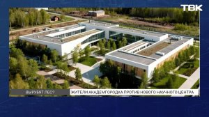 Лес в красноярском Академгородке могут вырубить ради «Долины Менделеева»: что известно