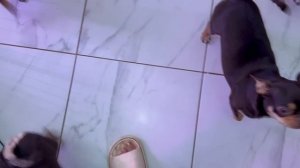 Адыгеечка всем сегодня очень понравилась.