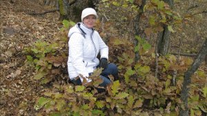 СКОРПИОНЫ 🍀🍀🍀 Ваш таро-прогноз на декабрь 2025 год. ✨✨✨на #колодах #таро