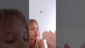 распаковка Haci pupu.Подпишись чтоб нас не потерять.