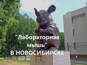 "НОВОСИБИРСК: Сибирское сердце в огнях! ✨ Город-миллионник