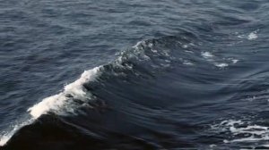 7 АТАК ЗА НЕДЕЛЮ: Киты-убийцы вышли на охоту! ТЫ НЕ ПОВЕРИШЬ, КТО СЛЕДУЮЩИЙ