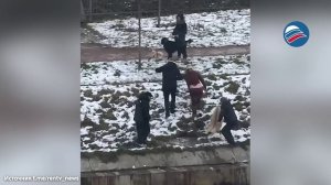 Герои среди нас: девушка спасла ребёнка, упавшего в водоканал в Красносельском районе Петербурга