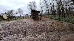 Бобра нет ! Вода ушла ! Овцы живые ! ХУТОР В ЛЕСУ №875