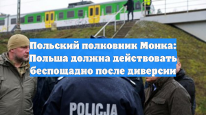 Польский полковник Монка: Польша должна действовать беспощадно после диверсии