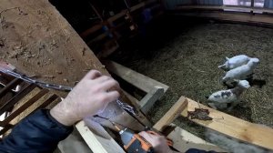 Два больших экскаватора на хуторе! Забрал посылку ! ХУТОР В ЛЕСУ №881