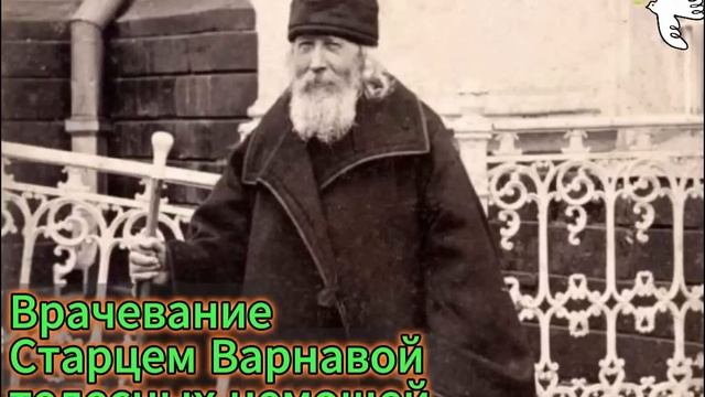 ПРЕПОДОБНЫЙ СТАРЕЦ ВАРНАВА. Исцеления.