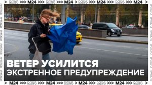 Экстренное предупреждение об усилении ветра выпустили в столице - Москва 24