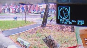 тележка против ветра NTSC