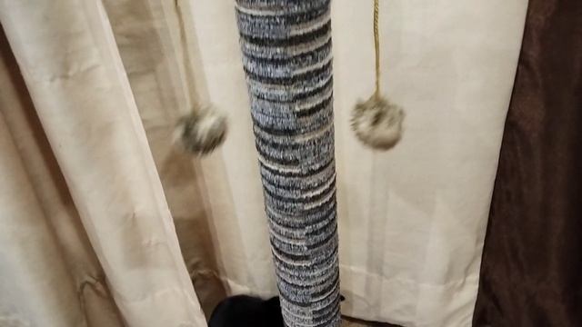 Новая плюшка у пушистиков.