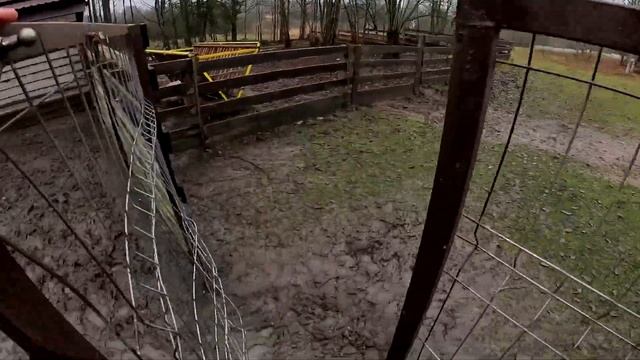 Выпустил страусов ! Строю дальше ! Сделал выгул ! ХУТОР В ЛЕСУ №886 смотреть онлайн