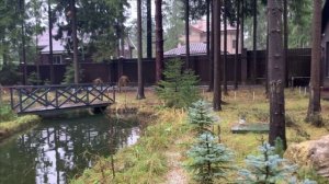 Содержание белок в вольере.Текущее