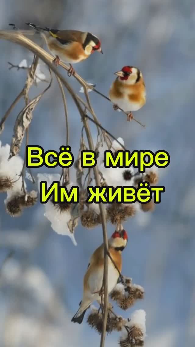 Всё в мире Им живёт