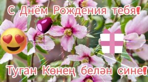 Туган Көнең белән сине!С Днём Рождения тебя!