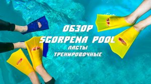 Тренировочные ласты Scorpena Pool идеальны для бассейна
