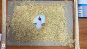 Мастер-класс "Воспитательный потенциал создания мультипликационных фильмов "Семейные Истории"