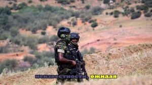 После убийства замдиректора школы террористы в Нигерии похитили 25 юных учениц