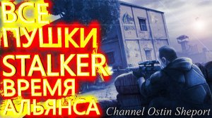 ВСЁ ОРУЖИЕ В ИГРЕ S.T.A.L.K.E.R. Время альянса 2. ОСТИН ШЭПОРТ 2025 ГОД.