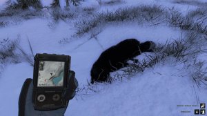 theHunter Classic  миссия добыть 3 песца 100+ метров  за сессию не выходя из игры