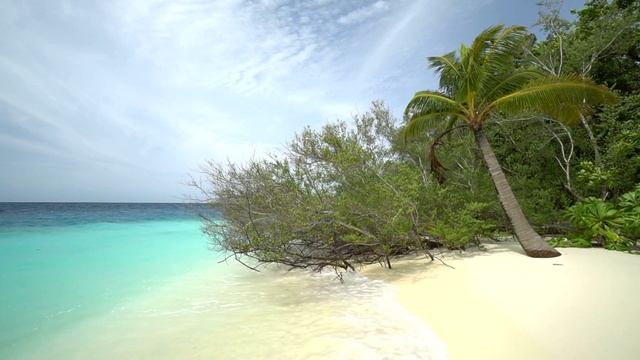 Очень теплый пляж и песок ⛱️ Музыка для успокоения и отдыха 🔊 Тишина и покой дл 🌈я души