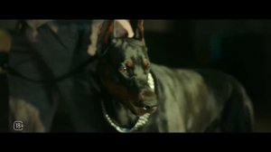 «Жар» Трейлер