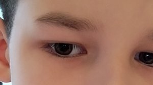 делаем учи. ру  и дз