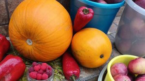 Простая жизнь! С Иринкой уютно! Наши будни! Жизнь на пенсии! Пирожки!