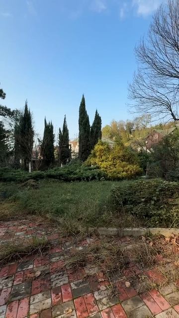 Особняк в Сочи возле санатория полное видео на канале смотреть онлайн