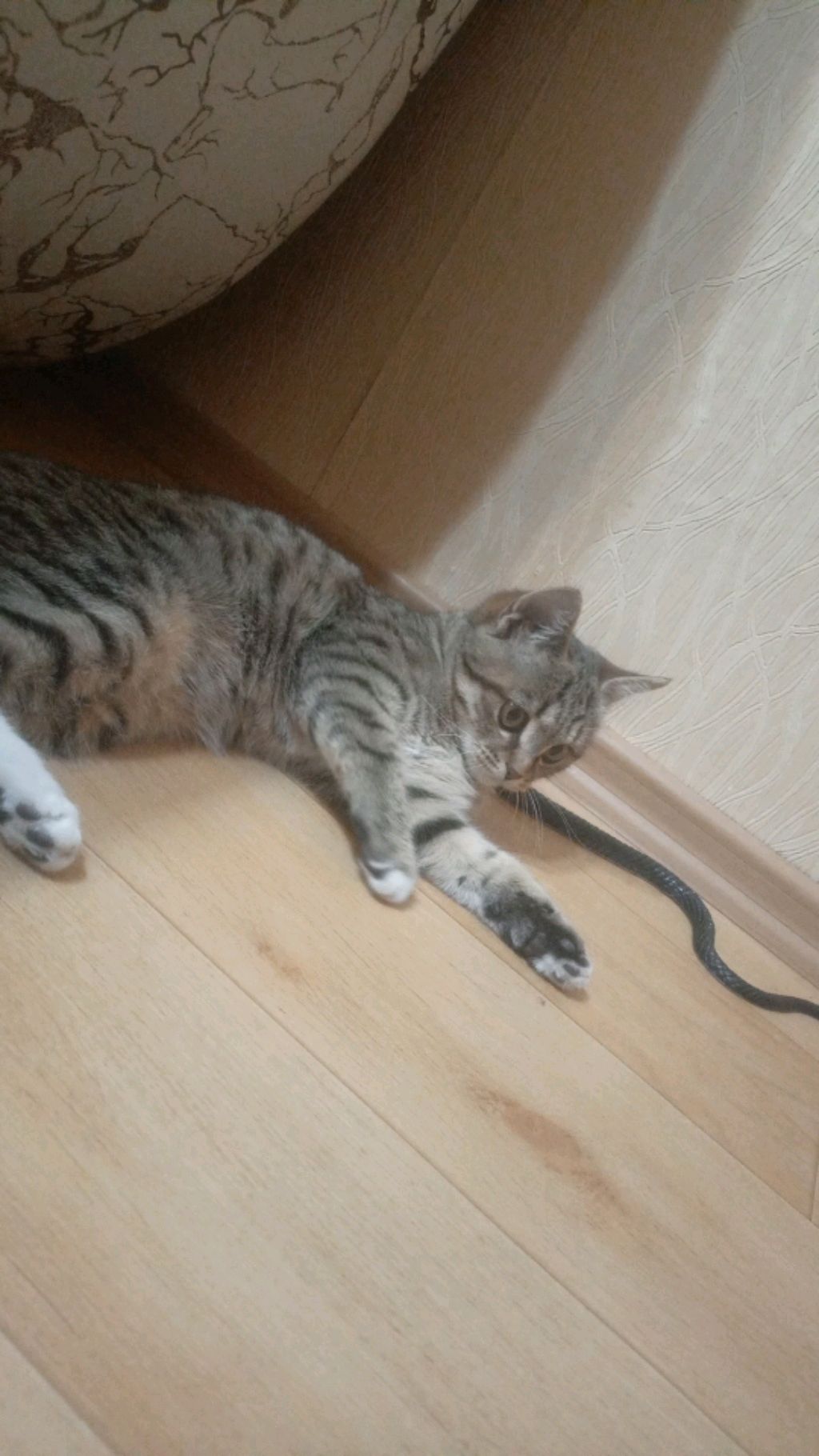 роблокс Легокс2