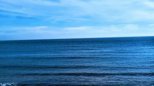 885. Что окружает нас сегодня?