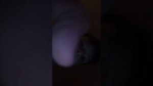 сму не зная