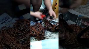 Утренний Обход принёс плоды