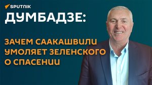 Думбадзе: зачем Саакашвили умоляет Зеленского о спасении