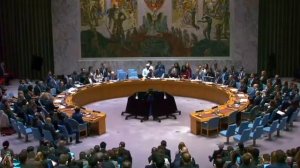 Апти Алаудинов "АХМАТ". Голосование в Международном совете безопасности