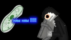 ПОВ : когда биологичка увидела как инфузория съедает эвглену .......